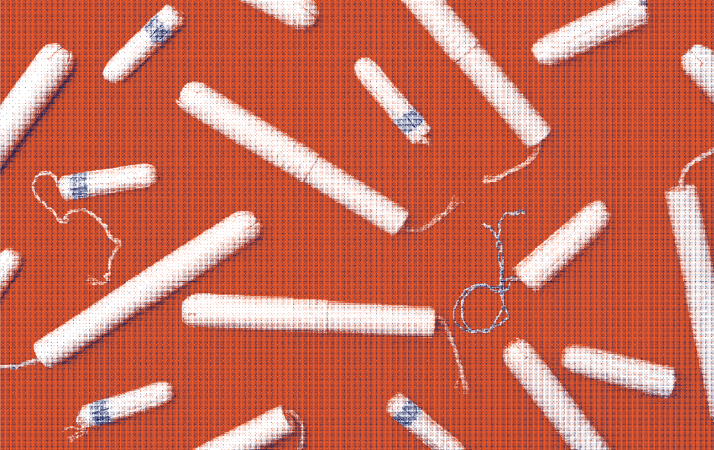 Comparaison entre tampons menstruels avec et sans applicateur, illustrant le choix de protection périodique - Marguerite & Cie