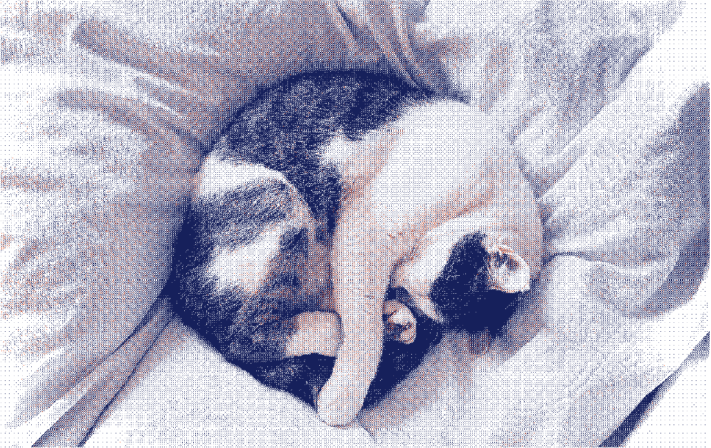 Chat enroulé en boule, cachant son ventre, symbolisant les douleurs abdominales liées à l'endométriose - Marguerite & Cie