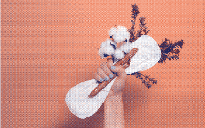 Choisir des serviettes menstruelles : Guide pour un choix éclairé