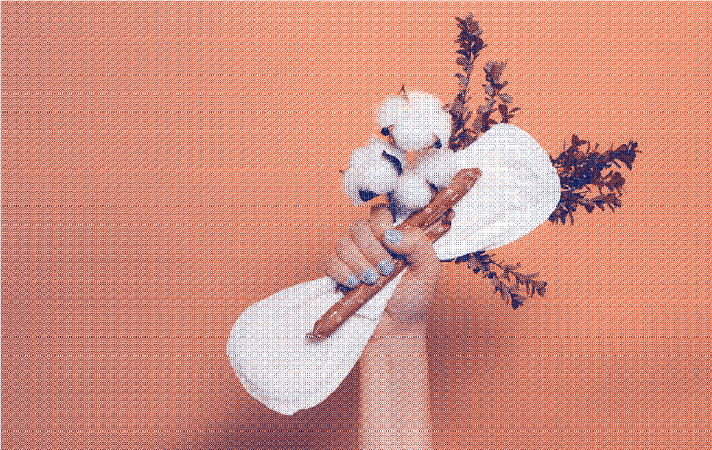 Main tenant des protections périodiques et du coton biologique pour illustrer le fait de choisir des serviettes menstruelles