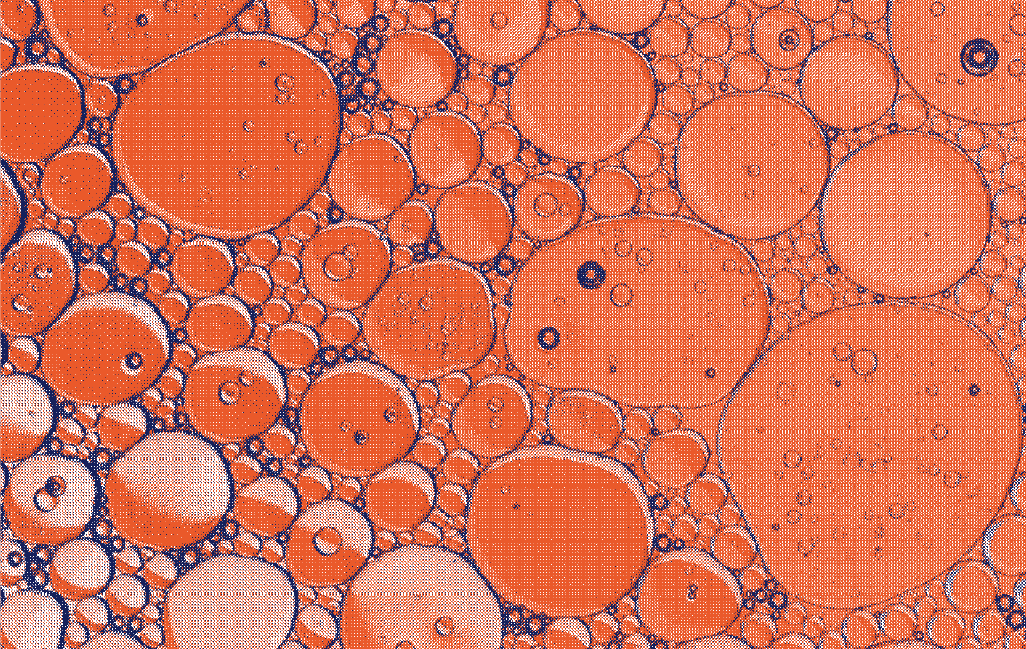 Zoom sur des cellules sanguines illustrant les effets des règles abondantes sur le corps, notamment le risque d'anémie et les conseils pratiques pour y faire face - Marguerite & Cie