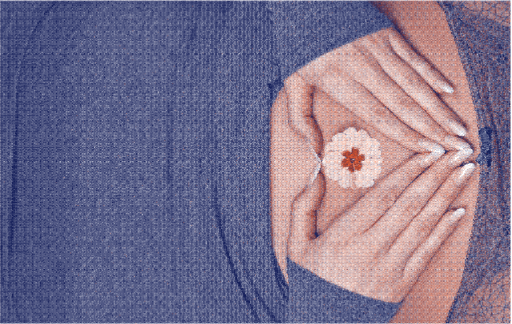 Femme posant ses mains en cœur sur son ventre, une fleur au centre, illustrant les symptômes émotionnels et physiques du syndrome prémenstruel et les conseils pour mieux le vivre - Marguerite & Cie