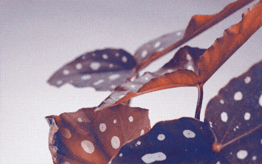 Spotting : Comprendre les causes et comment s&rsquo;en protéger