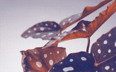 Spotting : Comprendre les causes et comment s&rsquo;en protéger