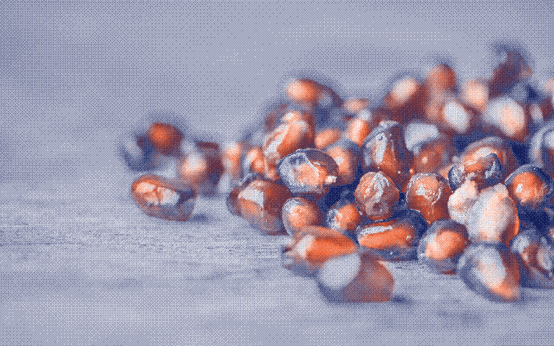 Le syndrome des ovaires polykystiques : une réalité féminine méconnue