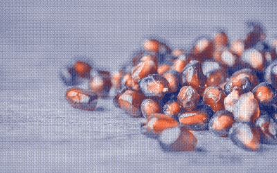 Le syndrome des ovaires polykystiques : une réalité féminine méconnue