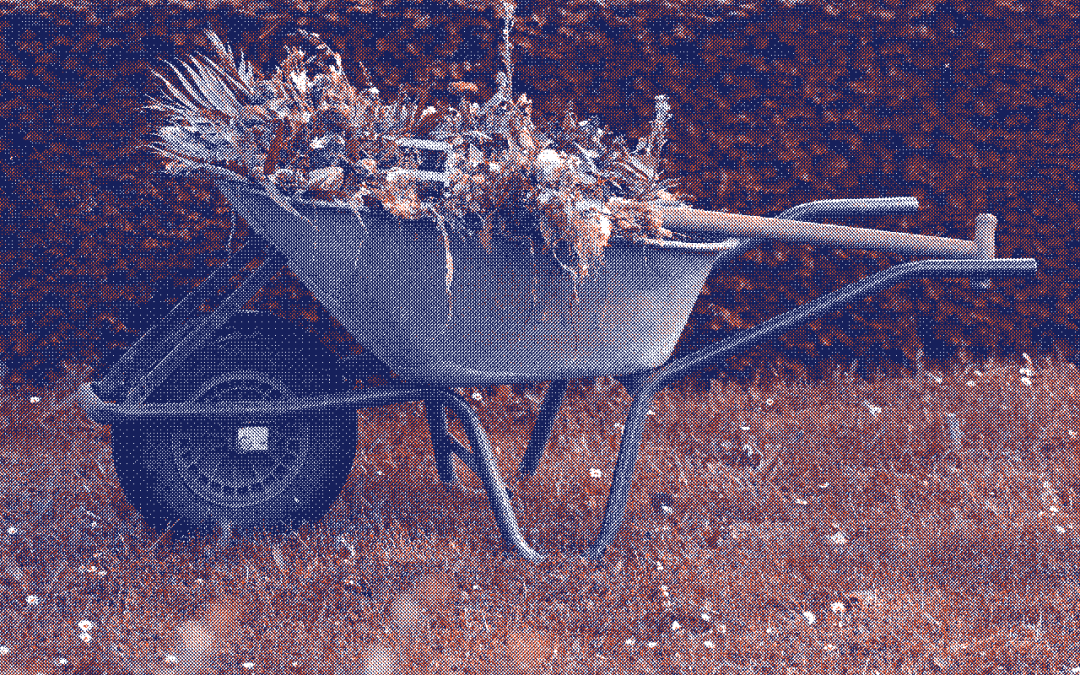 Protections compostables : pour une révolution menstruelle durable 