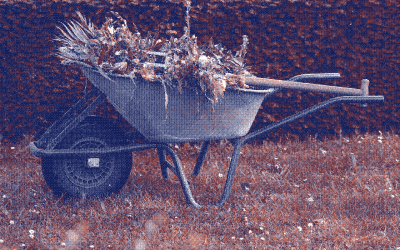 Protections compostables : pour une révolution menstruelle durable 