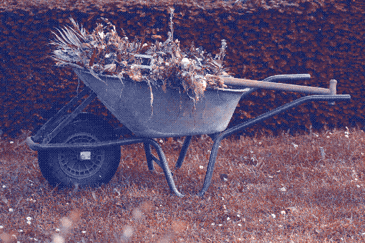 Brouette dans un jardin remplie de plantes coupées évoquant les protections menstruelles compostables révolution durable - Marguerite & Cie