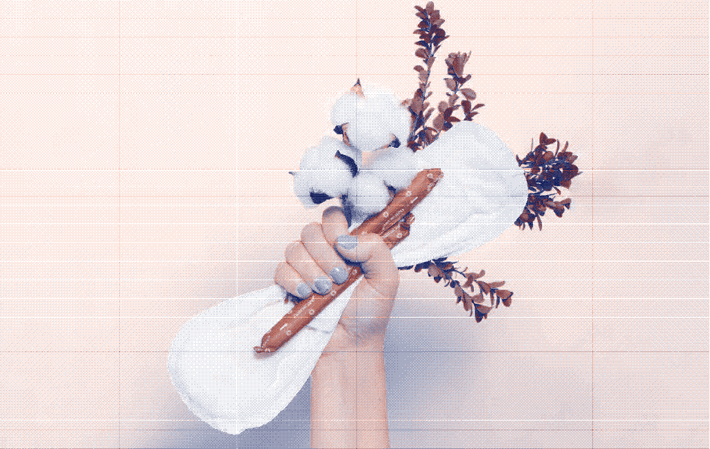 Main tenant des protections périodiques et du coton biologique pour illustrer le partenariat entre Natracare et Marguerite & Cie