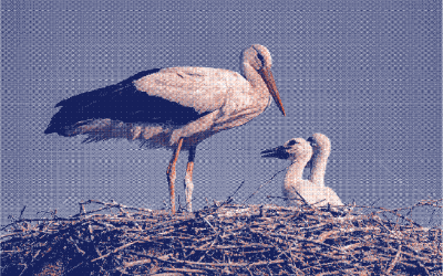 Règles pendant la grossesse : est-ce possible ?